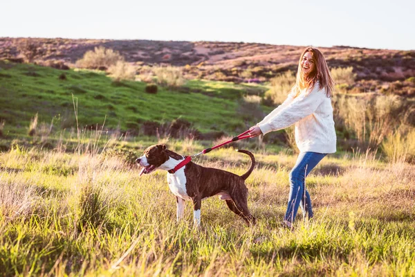 Yaramaz köpek tasmasını çekiyor, mutlu kadın köpeği kontrol etmiyor.