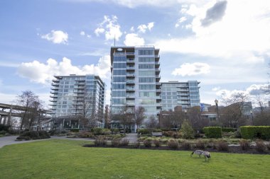 Portland, Oregon 'da Güney Portland Güney Rıhtım Bölgesi' nde yüksek binalar.