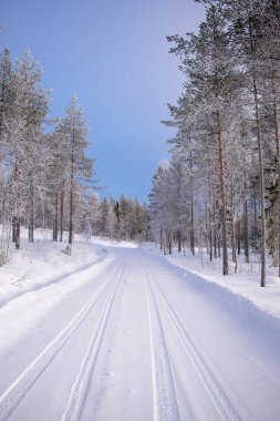 Bir kış manzarasının arka planında araba izleri