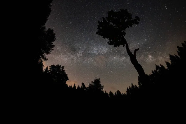 Via Lattea e albero sulle montagne Beskydy in Repubblica Ceca . — Foto Stock