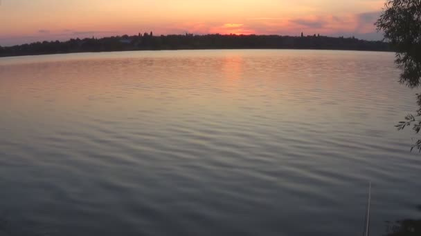 Sommaren solnedgång på bakgrunden av en lugn flod — Stockvideo