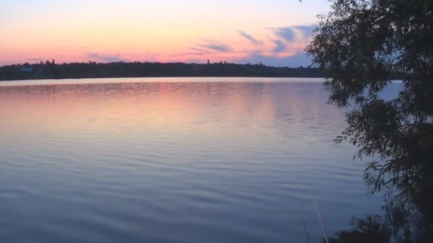 Tramonto estivo sullo sfondo di un fiume calmo — Video Stock