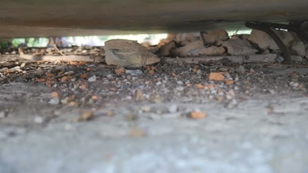 Спостереження через отвір між бетонними блоками — стокове відео