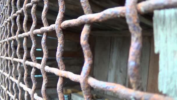 Vieille cage métallique rouillée vide pour animaux domestiques — Video