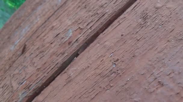 Old wooden door with peeling texture and paint scratches. Panning the movement of the camera with a sense of danger and desolation. — Stock Video