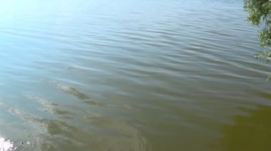 Yaz aylarında dinlendirici su dalgalarının yüzeyinde güneş yansımaları ve parıltıları.