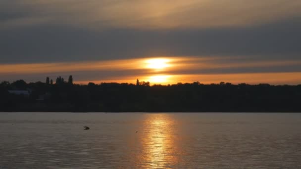 Puesta de sol de verano similar a un destello en el fondo de un río tranquilo — Vídeos de Stock