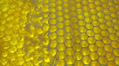 Balpeteklerinde bal desenlerinin arkaplanı.