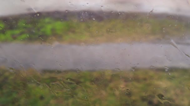 Regnigt väder på en blåsig gata, vattendroppar på ett glasfönster — Stockvideo