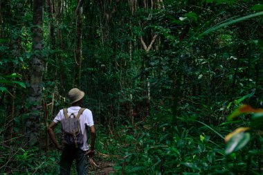 Gezgin ormanı tek başına keşfediyor yaz aylarında sırt çantasıyla geziyor.