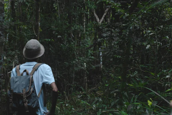Viajero Explorando Selva Solo Senderismo Con Mochila Aventura Viaje Verano —  Fotos de Stock