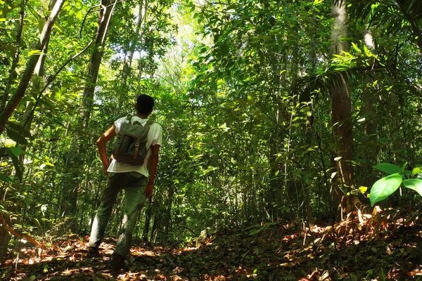 Viajero Explorando Selva Solo Senderismo Con Mochila Aventura Viaje Verano — Foto de Stock