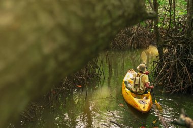 Sırt çantalı genç bir adam Mangrove Ormanı 'nın içinden çalıların tüneline kayıyor.