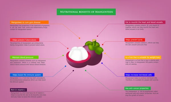 Avantages Nutritionnels Mangoustan Infographie Sur Les Nutriments Dans Avocat Illustration — Image vectorielle