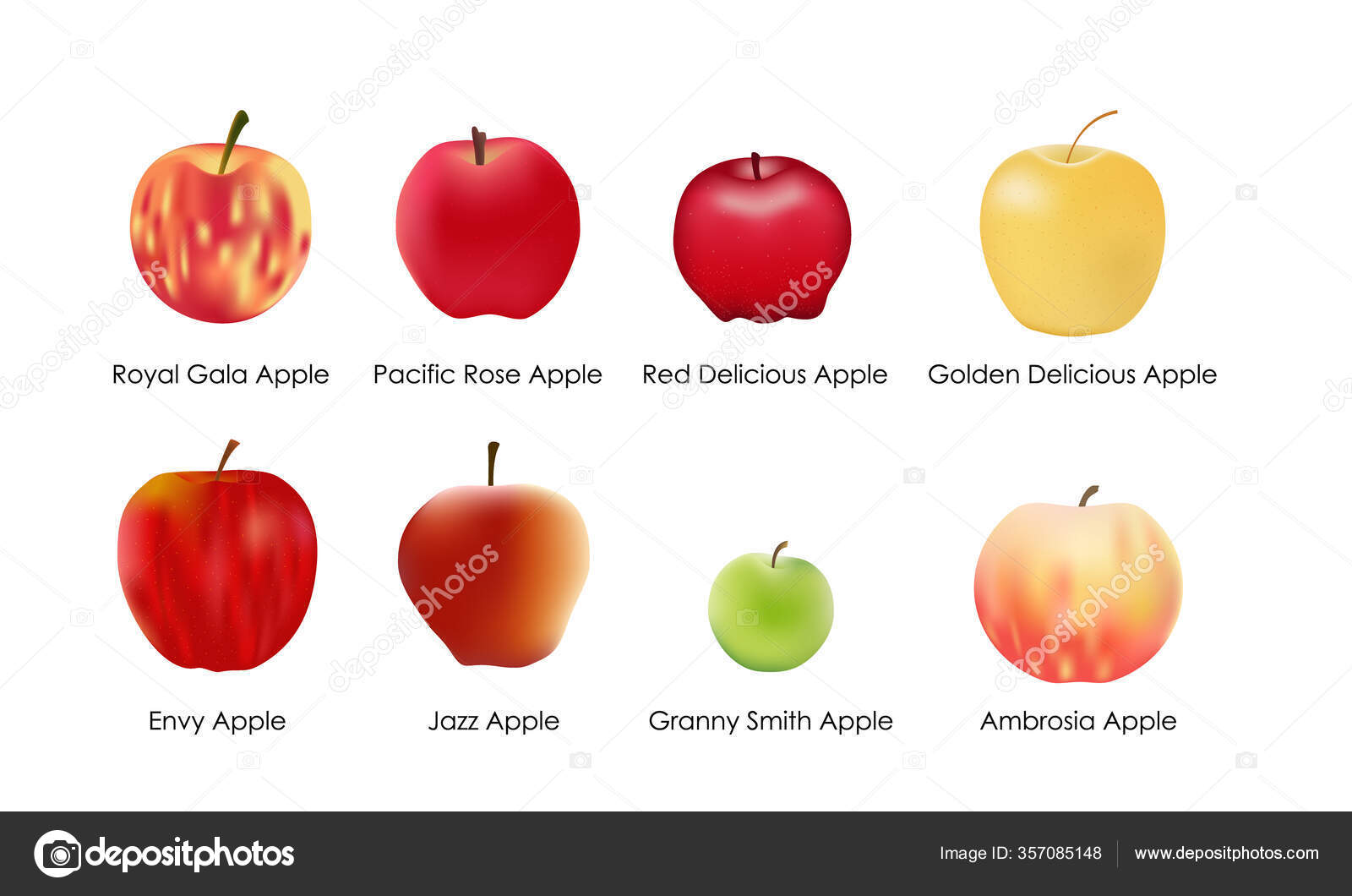 Granny smith apple Vector Art Stock Images | Depositphotos Granny smith apple Vector Art Stock Images | Depositphotos