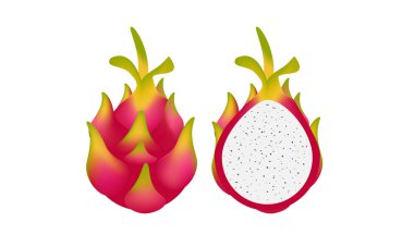 Taze Ejderha meyvesi ve kesim vektörü ve illüstrasyon