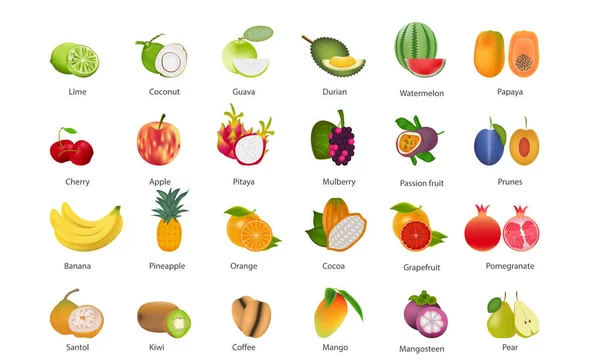 Ensemble Illustrations Vectorielles Collection Fruits Sur Fond Blanc — Image vectorielle