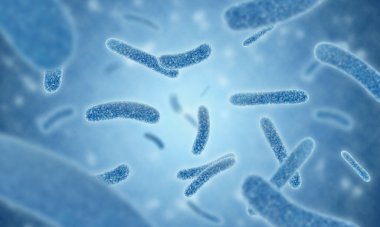 Lejyonella pneumophila bakterisinin 3D illüstrasyon mikroskobik maviliği Lejyoner hastalığının ve Pontiac ateşinin nedensel etkenidir.