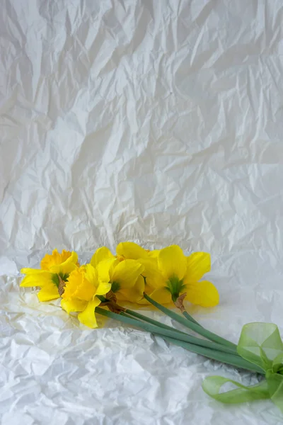 Žluté Narcisy Šedém Pozadí Květiny Šedém Pozadí Jarní Bílé Narcisy — Stock fotografie