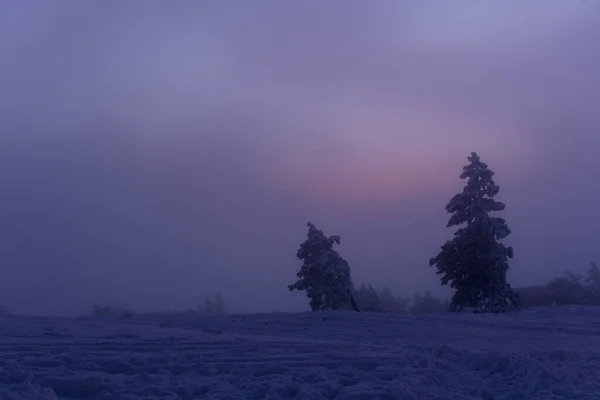 Zimowa Noc Gorze Petri Crimea Piękna Niebieska Godzina Zimie Zimowy — Zdjęcie stockowe