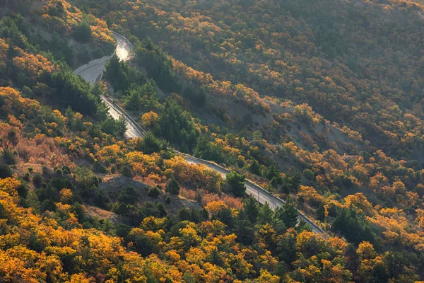 Δρόμος Στην Κορυφή Του Φθινοπώρου Δάσους Όμορφο Φθινοπωρινό Ερπετό Πτώση — Φωτογραφία Αρχείου