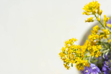 Vazo manzaralı bahar çiçekleri. Cam bir vazoda güzel sarı ve mor çiçekler. Beyaz arkaplanda çiçekler