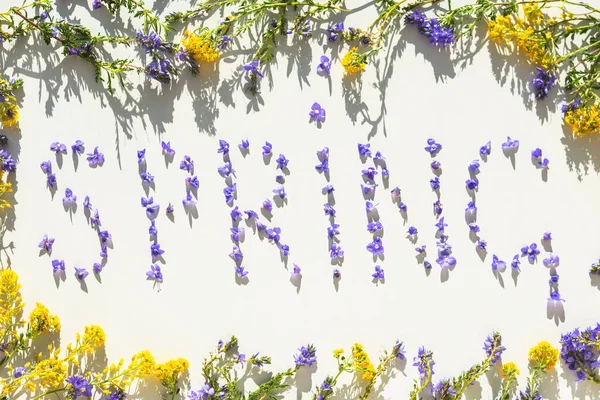 春天的标签 在白色背景上的丁香花 从上往下看明春黄花和紫丁香花 — 图库照片