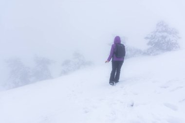 Kışın dağlarda sırt çantalı bir kız. Bir dağa tırmanmak gibi. Kış turizmi. Mor ceketli, sırt çantalı bir kız. Kar fırtınalı karlı bir hava.