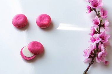 Çiçekli şeftali dalı. Beyaz bir arka planda izole edilmiş. Şeftali dalı ve kurabiye. Pembe makarna kurabiyeleri. Bahar havası konsepti.