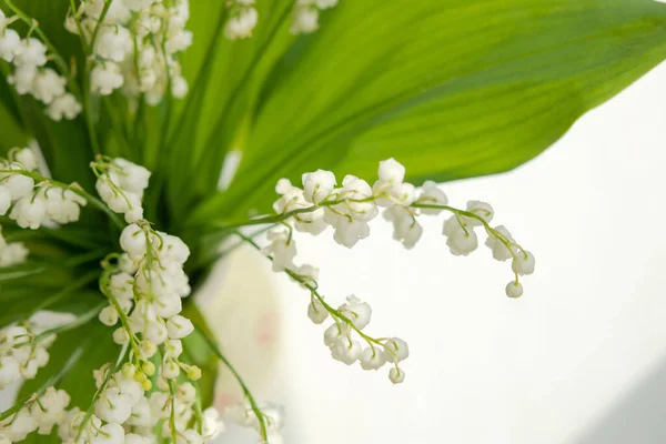 Lilies Valley Close Lily Valley Flowers Selective Focus White May — Stock Photo, Image