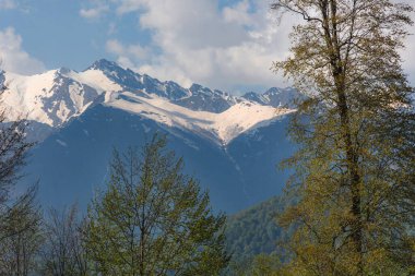 Karla kaplı dağlar ve bulutlar. Dağlar ve ormanlarla dolu bahar manzarası. Rosa Khutor kayak merkezi Sochi Krasnodar bölgesi. Nisan 'da Kafkasya dağlarında kar yağar..