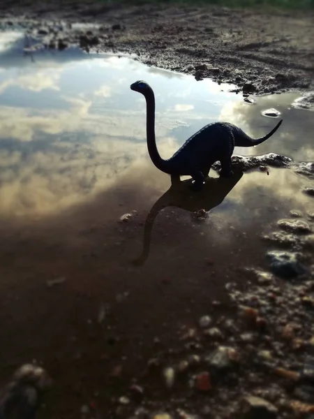 Silhueta Deslumbrante Pôr Sol Dinossauro Diplodocus Com Sua Forma Típica — Fotografia de Stock