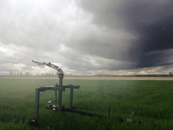 Explosion of a multitude of drops of water under pressure. Irrigation cannon, equipment and agricultural machinery of the center of Spain. Watering the cereal. Grain plantation. Sprinkler system.