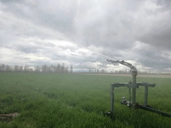 Explosion of a multitude of drops of water under pressure. Irrigation cannon, equipment and agricultural machinery of the center of Spain. Watering the cereal. Grain plantation. Sprinkler system.