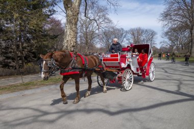 Horse and carriage manhattan central Park romantic rides