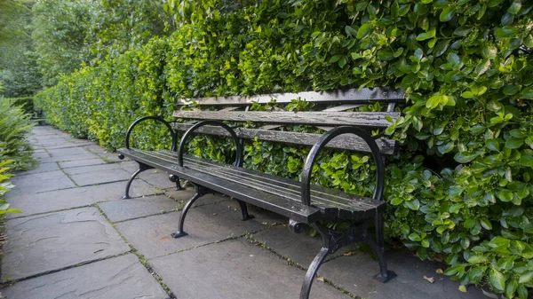 Parc Garen Avec Grandes Haies Passerelle Banc Parc — Photo