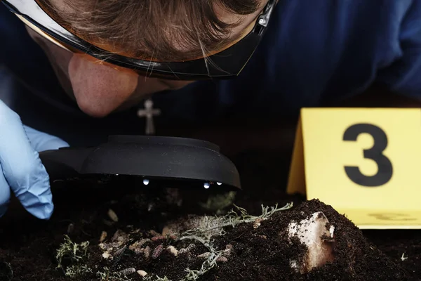 Exploración de larva de mosca en escena del crimen con lupa por criminólogo técnico — Foto de Stock