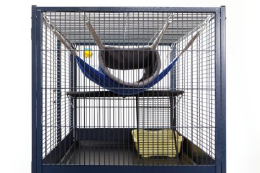 Luxury cage for ferrets clipart