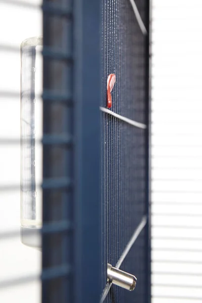 Detalhe do bebedor de fixação na gaiola — Fotografia de Stock