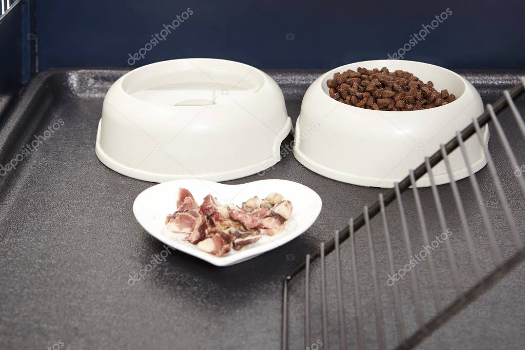 Detail of meal in opened ferret cage