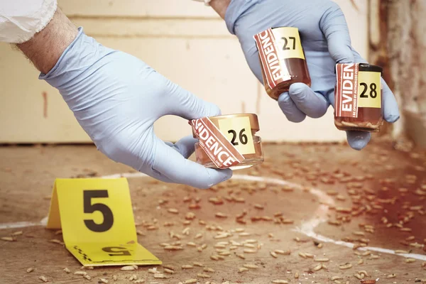 Enteromólogo de la policía recogiendo muestras de larva de mosca en la escena del crimen — Foto de Stock