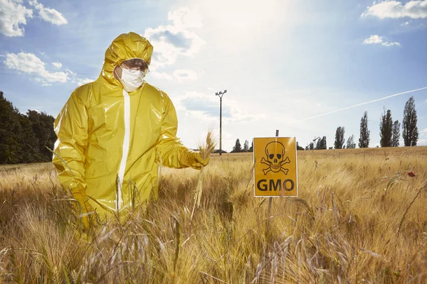 Mannen i gul kostym arbetar med genetiskt modifierade spannmål på fältet — Stockfoto