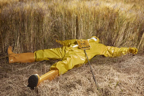 Sahada genetiği değiştirilmiş tahıllar tarafından ölü ekolojik acivist