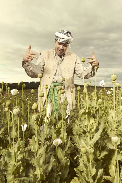 Récolte illégale d'opium brut par un agriculteur sur un champ de pavot — Photo