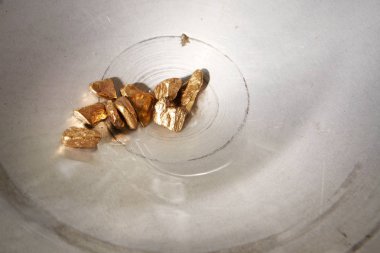 Golden nuggets in aluminum pan found in creek sand clipart