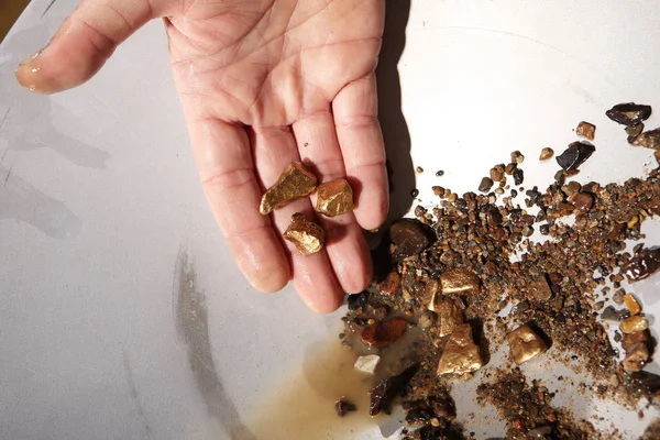 Nuggets dourados encontrados na areia do riacho por panning — Fotografia de Stock