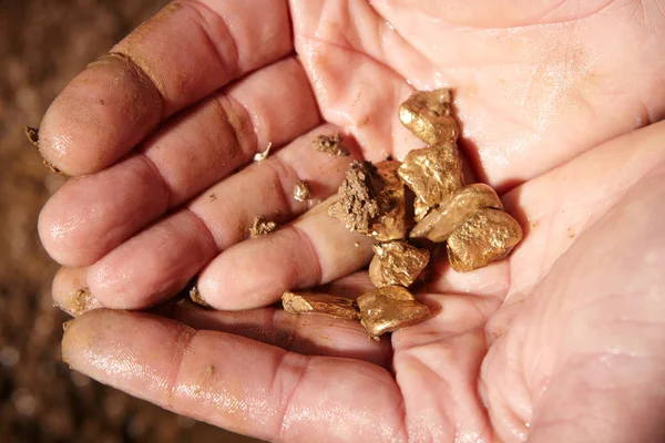 Pépites d'or trouvées dans le sable du ruisseau par panoramique tenu à la main — Photo