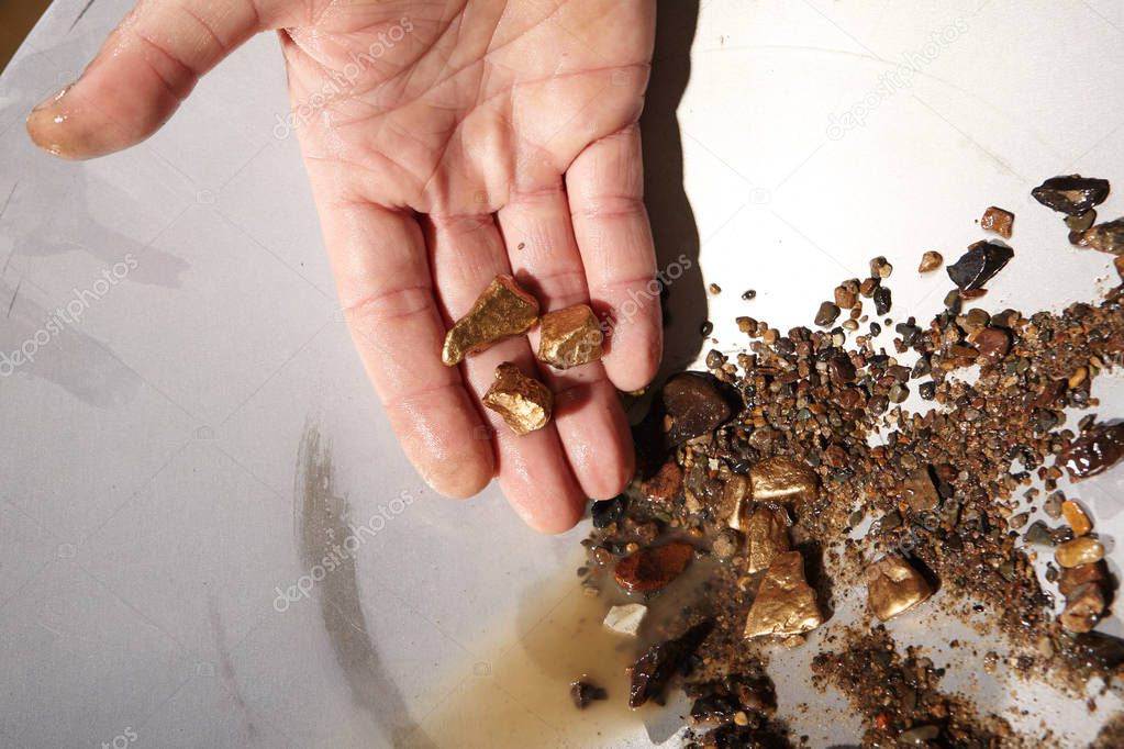 Golden nuggets found in creek sand by panning