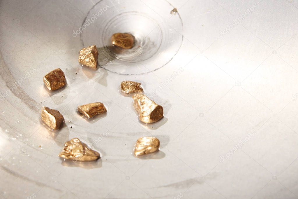 Golden nuggets in aluminum pan found in creek sand