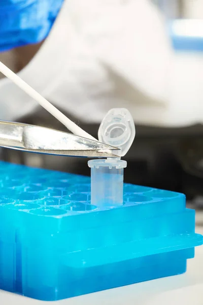 Corte de la muestra de ADN del hisopo — Foto de Stock